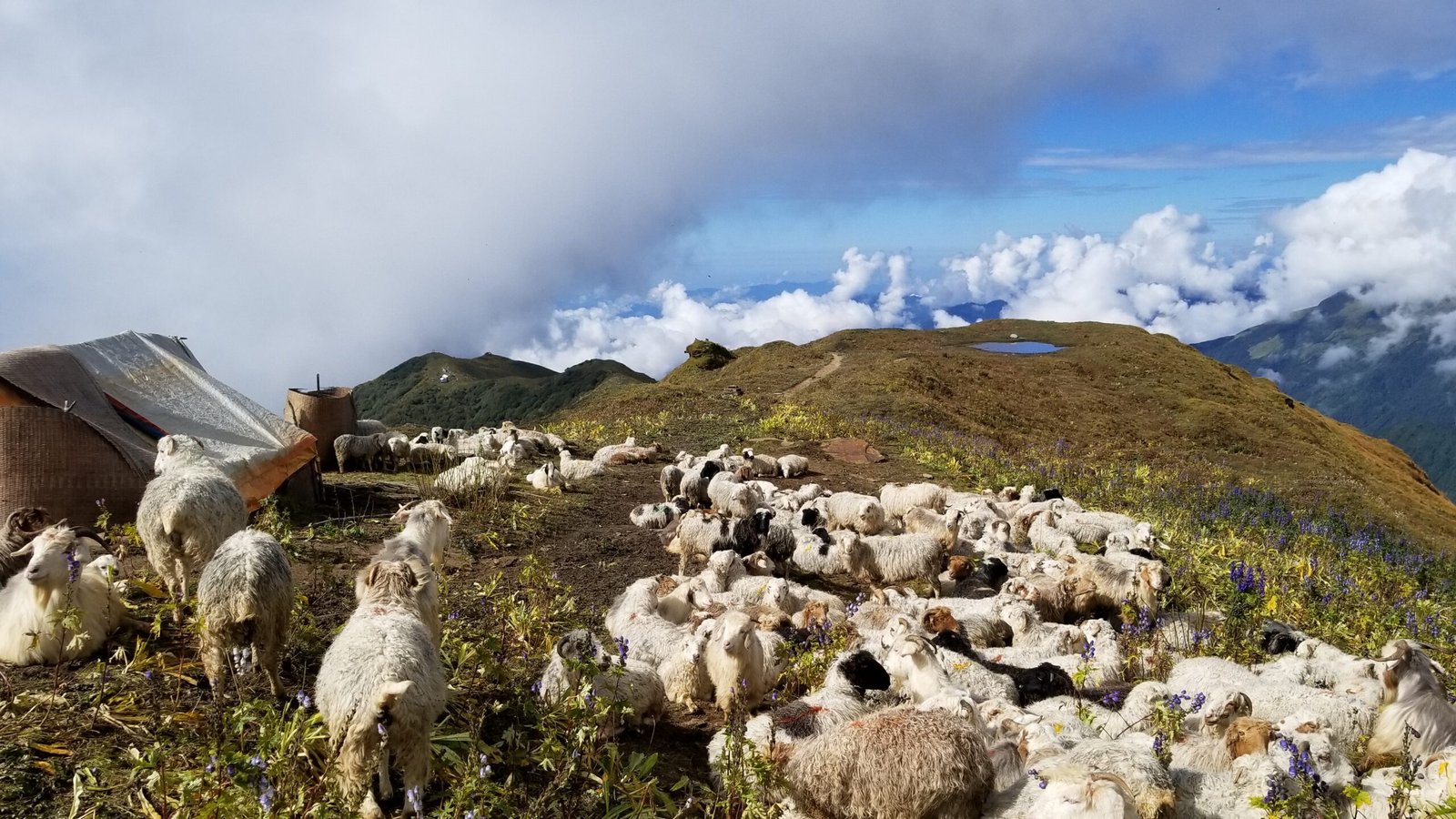 Himalayan scenery from Mardi Himal