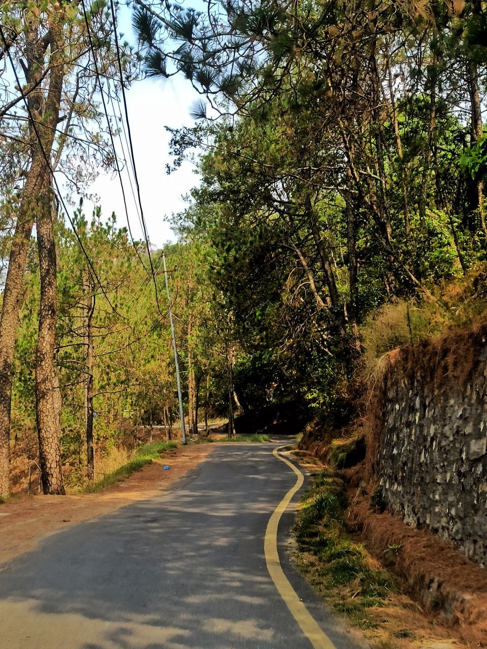 Shivapuri forest trail