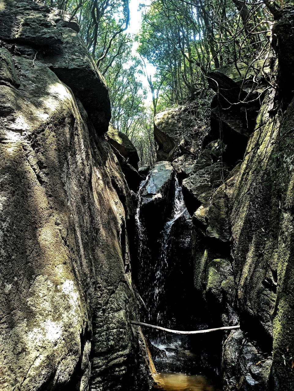 Shivapuri hiking trail