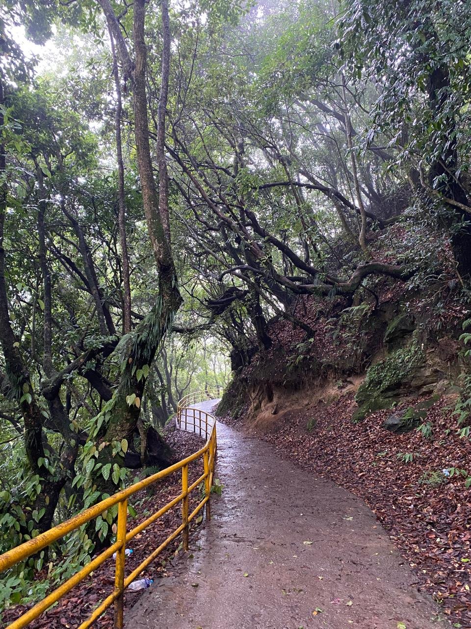 Natural scenery in Shivapuri