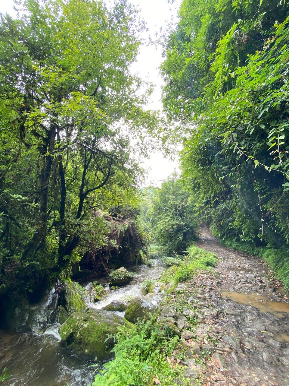 Shivapuri nature hike