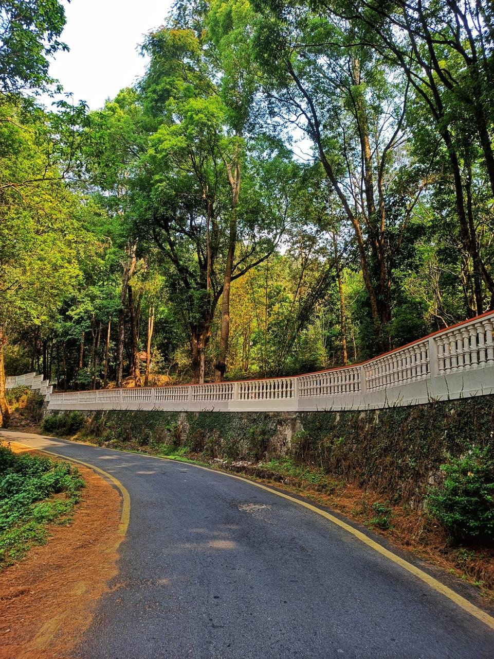 Shivapuri Hike