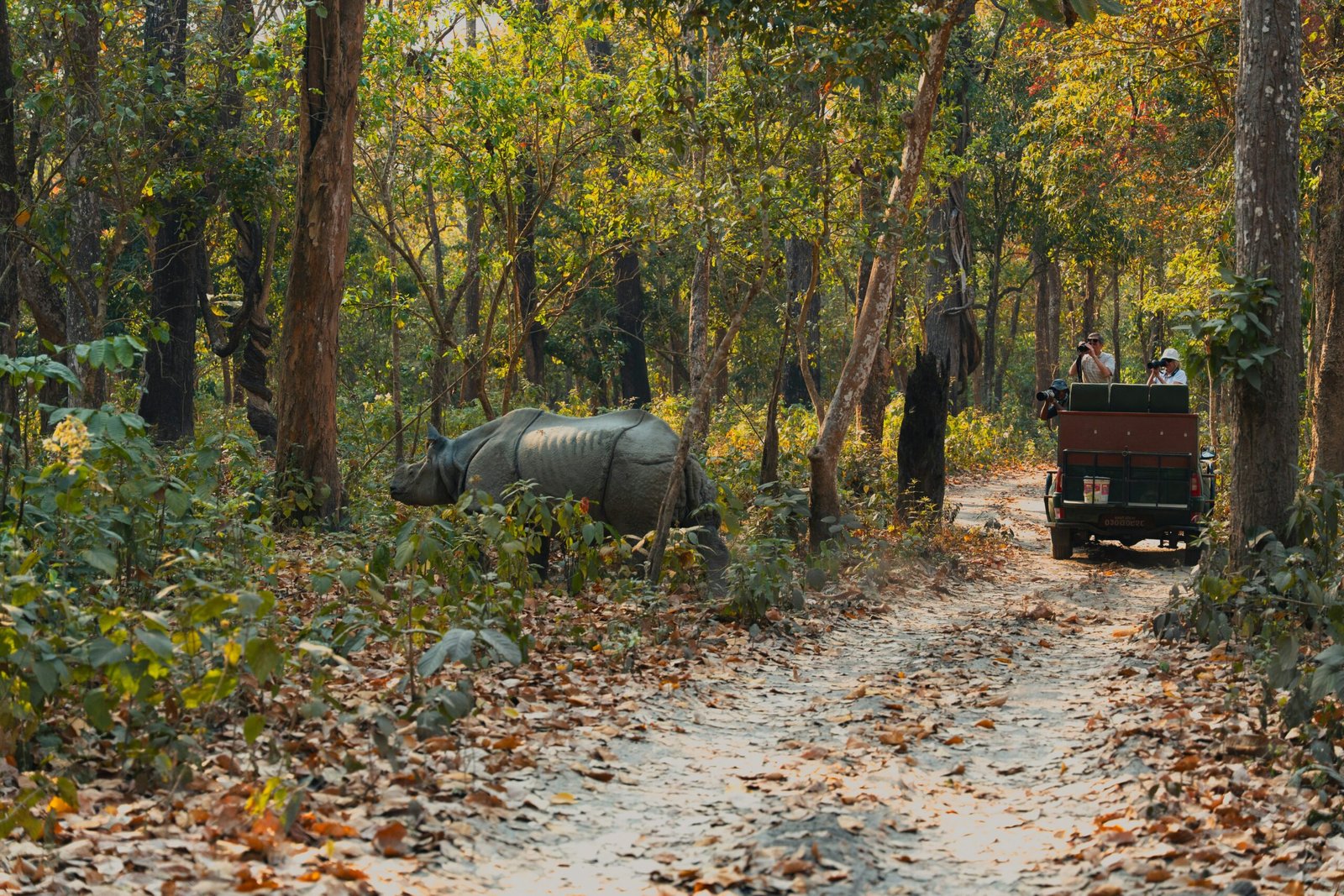 Chitwan Activities