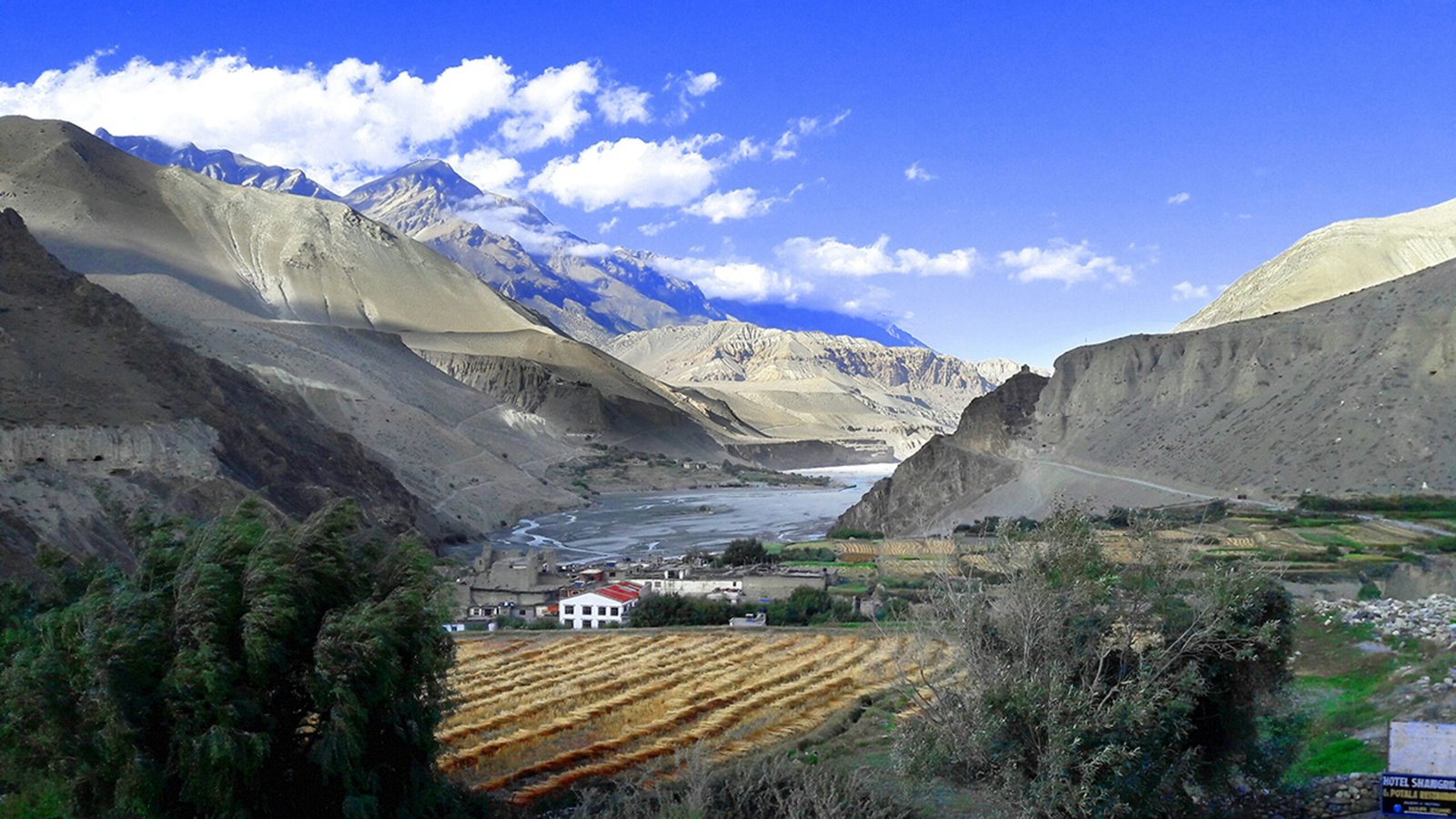 Mustang Landscapes