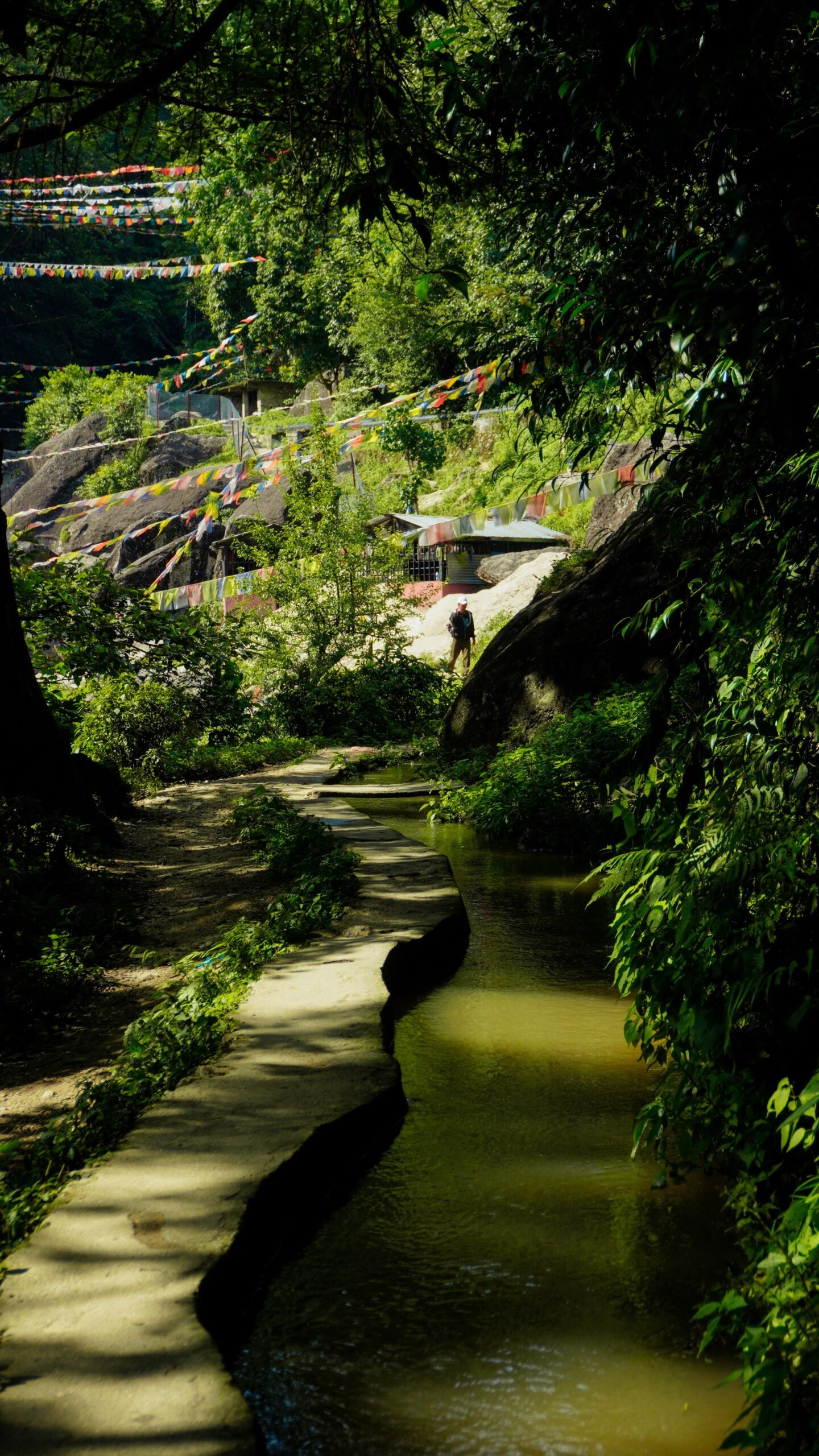 Shivapuri hiking landscape