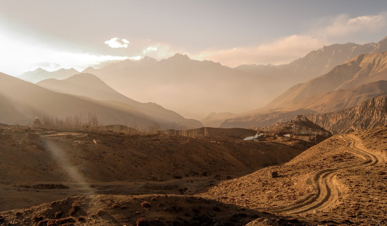 Mustang Landscapes