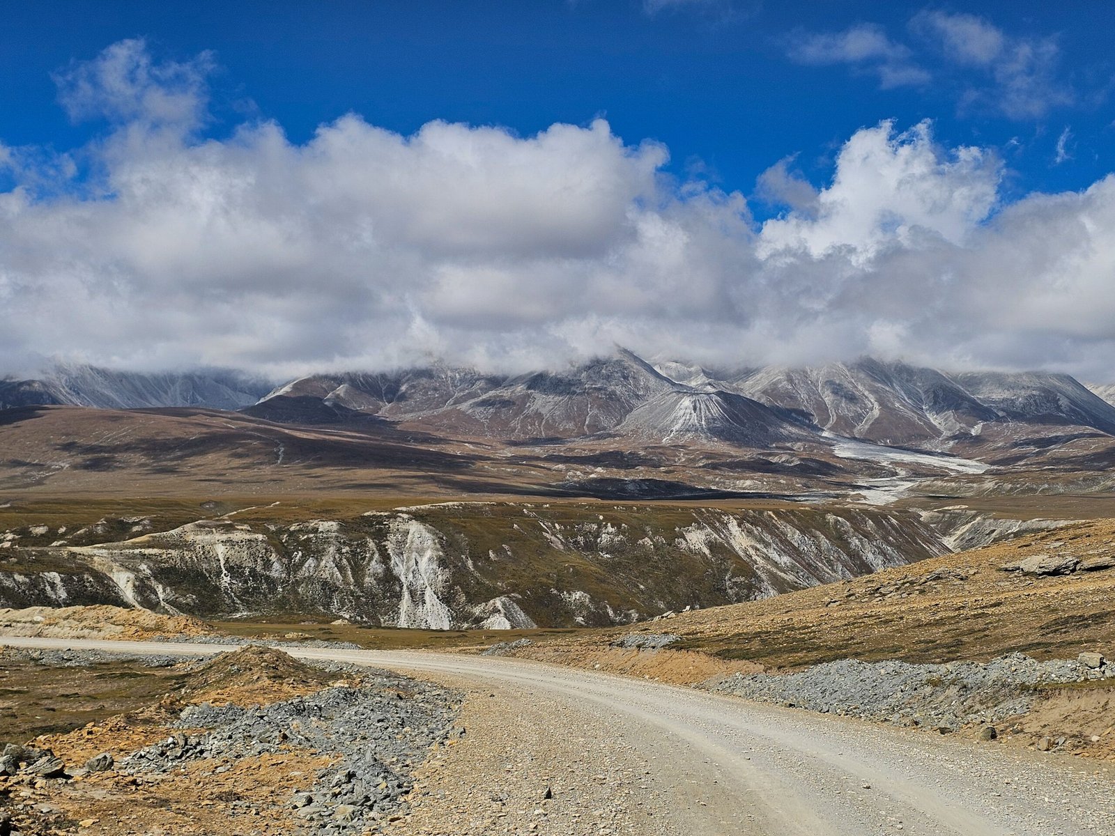 Mustang road