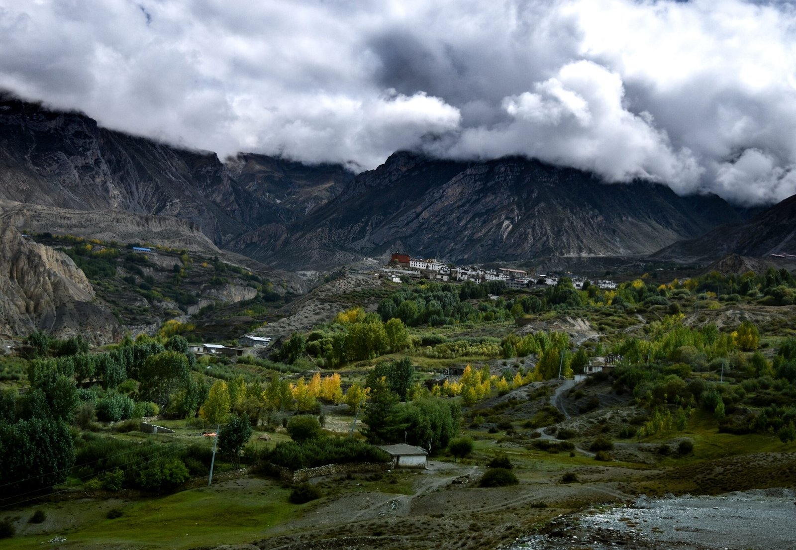 Mustang landscape
