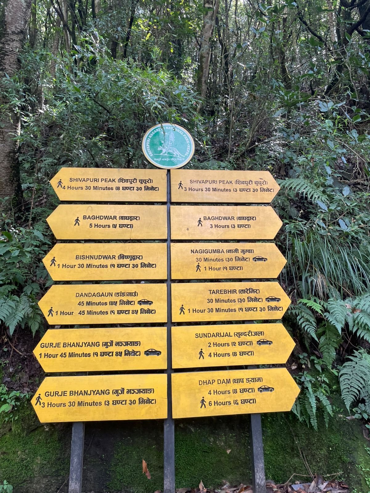 Shivapuri Hiking Moments